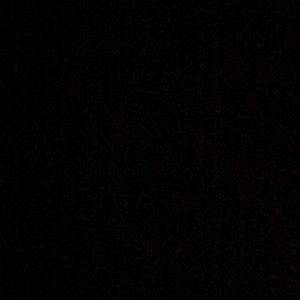 Meet your Posher, Tanner